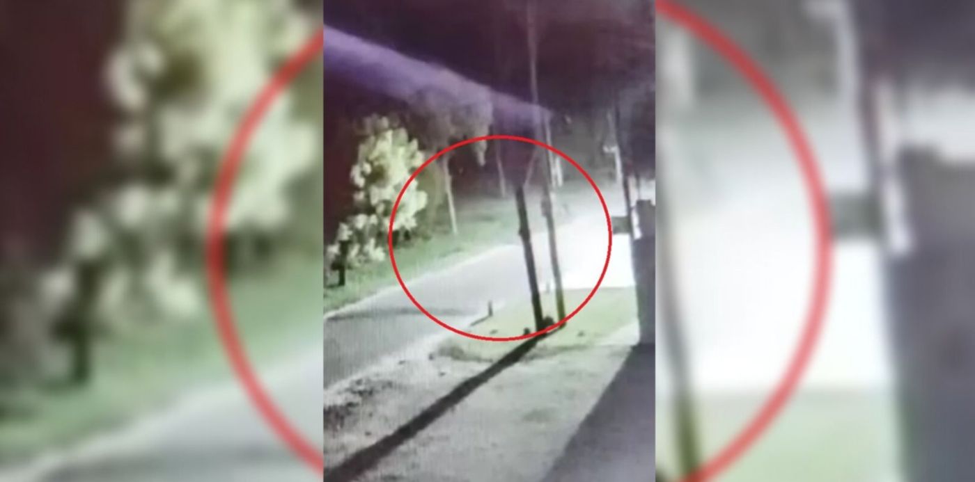 1580919035523.jpg?width=1903&rotate=0&x=5&y=0&height=952&scaleX=1&scaleY=1&ow=1920&oh=1080&&cw=1920&ch=950