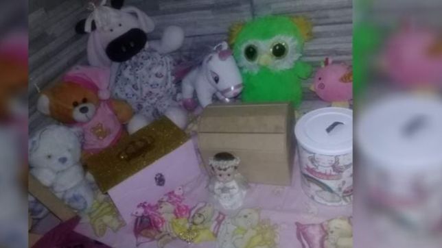 les robaron las cenizas de sus mellizas fallecidas y ofrecen recompensa para recuperarlas