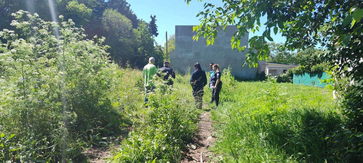 WhatsApp Image 2023-11-11 at 11.56.14 (1).jpeg