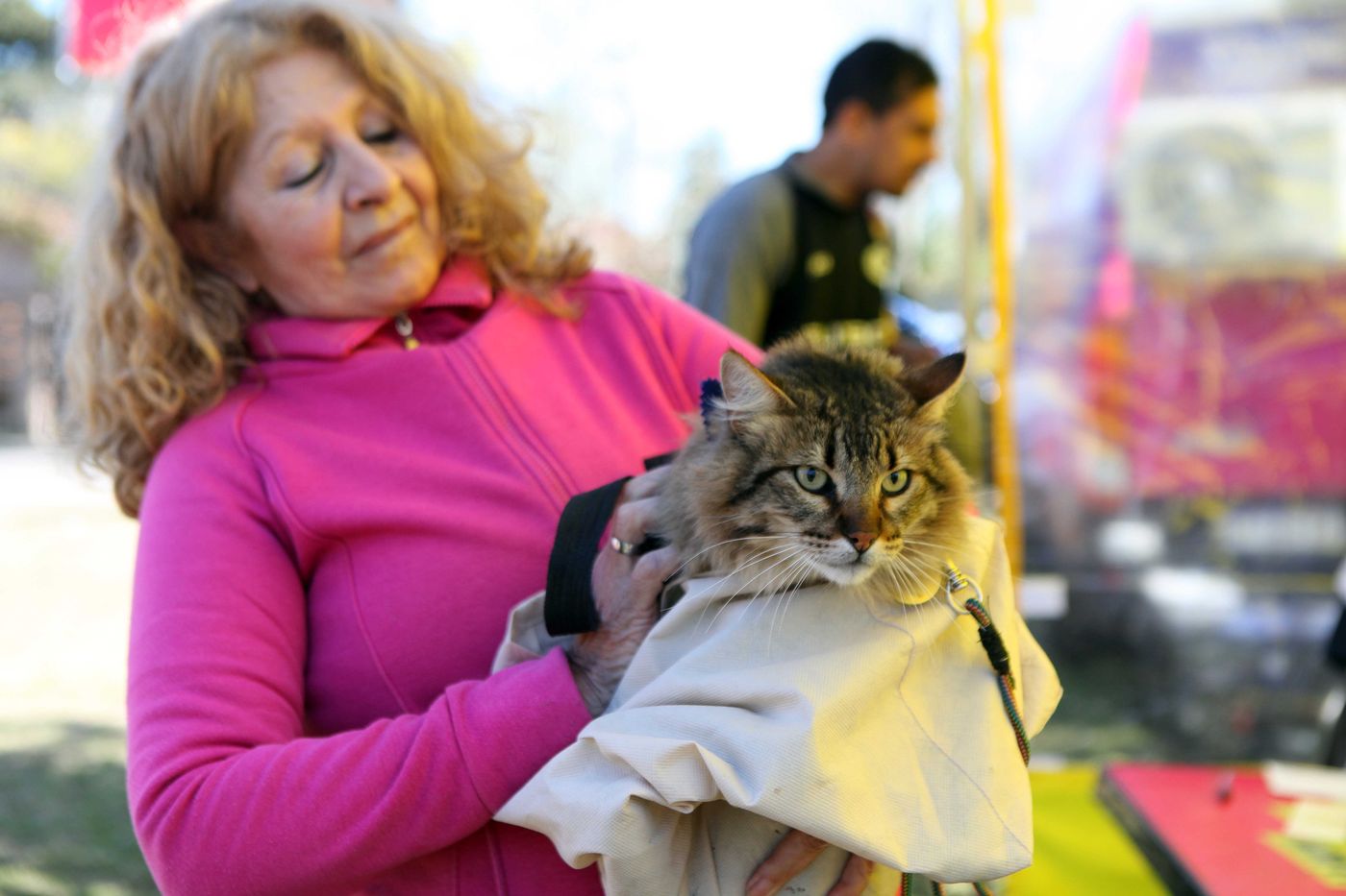 vacunación antirrabica.jpg