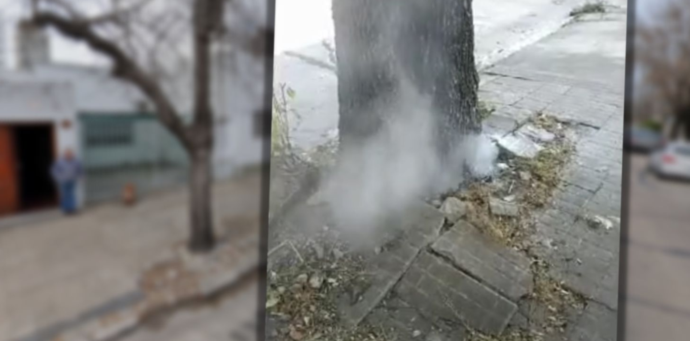 1679745267617.jpg?x=8&y=5&width=1457&height=728&rotate=0&scaleX=1&scaleY=1&ow=1500&oh=742&&cw=1920&ch=950