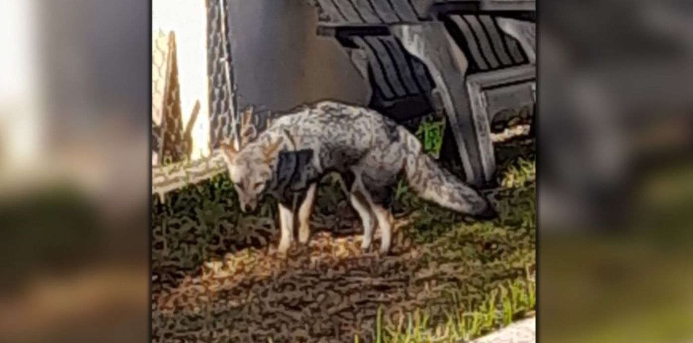 1658790151467.jpg?x=21&y=5&width=1470&height=735&rotate=0&scaleX=1&scaleY=1&ow=1500&oh=742&&cw=1920&ch=950