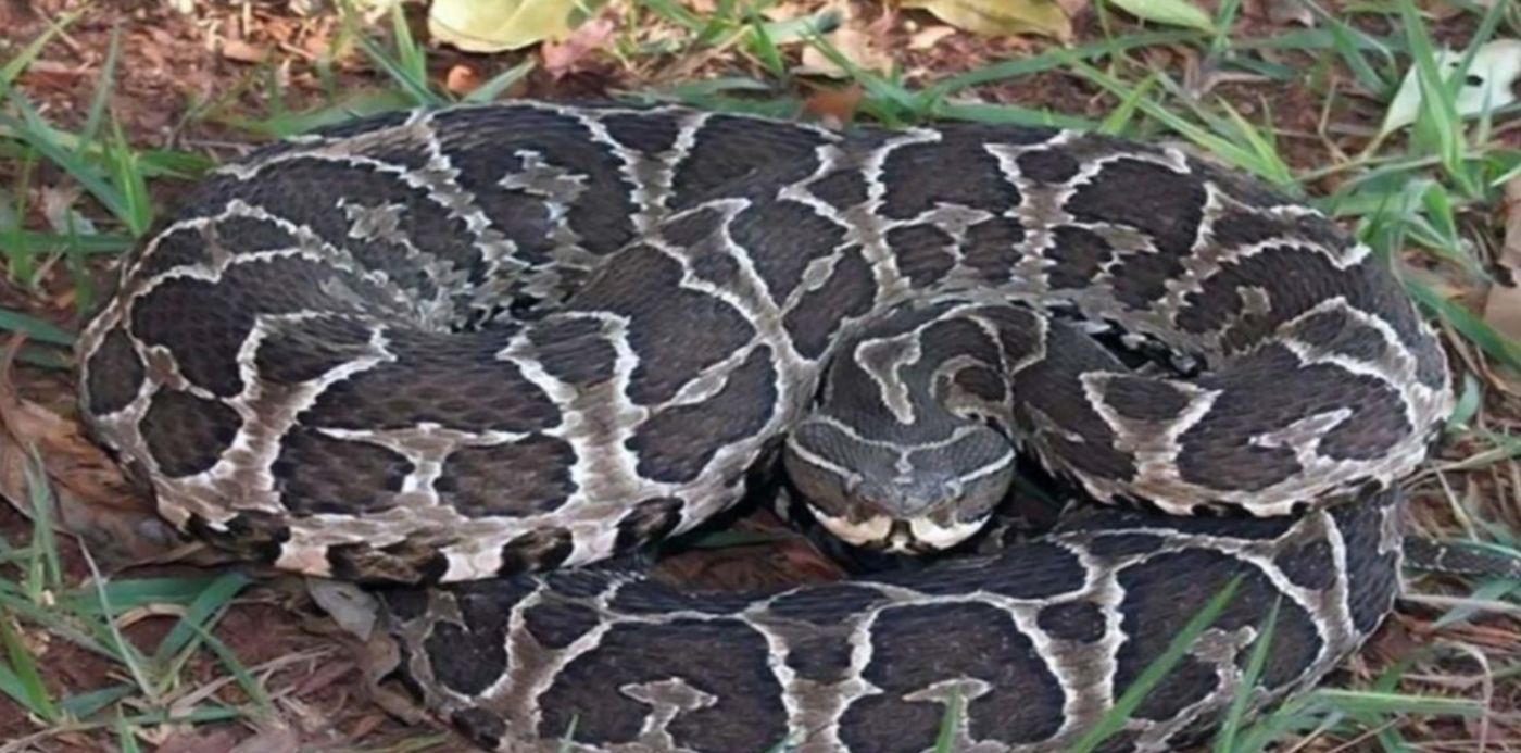 1580641779064.jpg?scaleY=1&ow=1366&oh=765&x=4&width=1348&height=674&scaleX=1&y=12&rotate=0&&cw=1920&ch=950