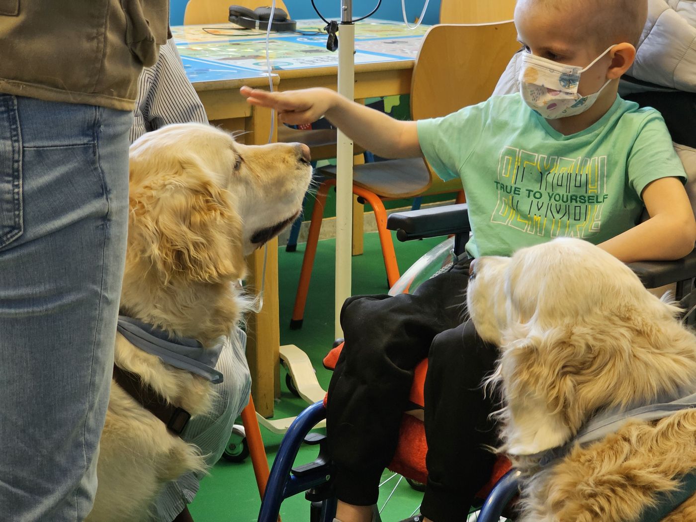 Perro de asistencia terapéutica (4).jpg