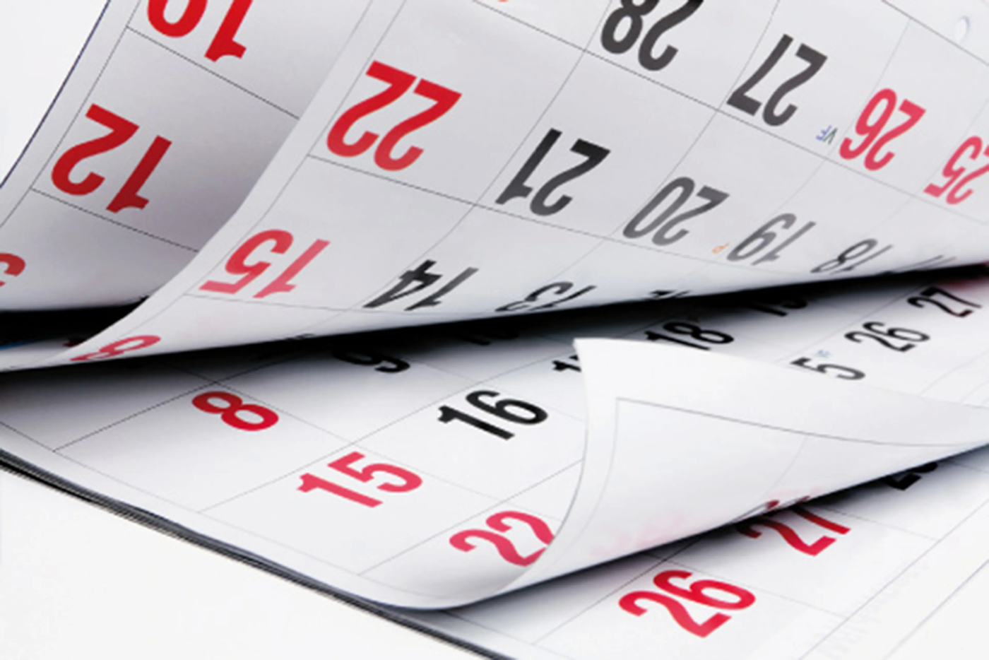 Se define que pasará con el feriado del 17 de agosto.
