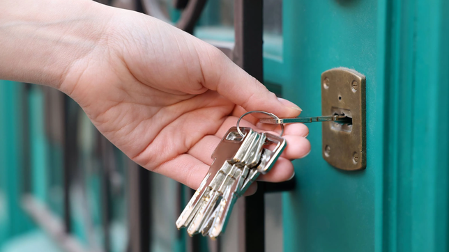 le sacaron las llaves de su casa de adentro del auto y la desvalijaron