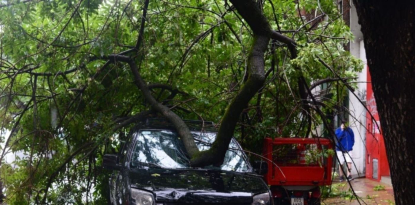 1575117066617.jpeg?scaleX=1&scaleY=1&ow=1280&oh=850&x=6&rotate=0&height=634&y=0&width=1268&&cw=1920&ch=950