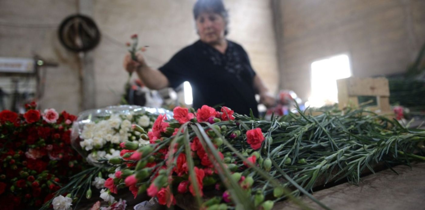 1576854905990.jpg?x= 3&y=158&width=1519&height=759&rotate=0&scaleX=1&scaleY=1&ow=1500&oh=996&&cw=1920&ch=950