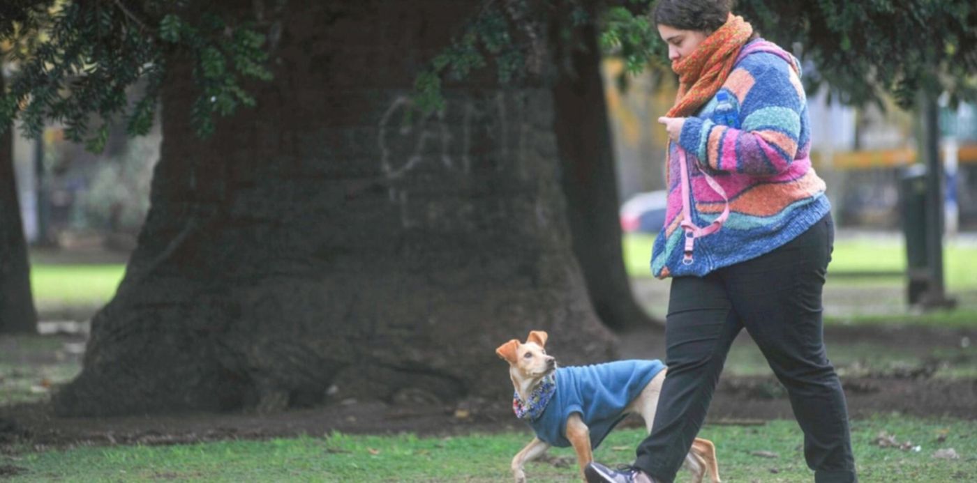 1610840935988.jpeg?x=4&y=162&width=1492&height=746&rotate=0&scaleX=1&scaleY=1&ow=1500&oh=997&&cw=1920&ch=950