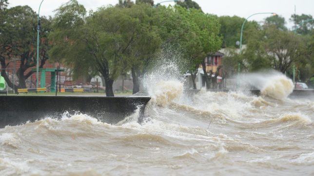 caminaban por la playa de berisso, subio el rio y terminaron trepados a unos arboles hasta que los rescataron