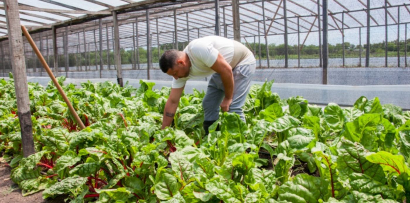 1589324752199.jpg?width=1016&height=508&scaleX=1&scaleY=1&oh=680&x=5&y=112&rotate=0&ow=1024&&cw=1920&ch=950