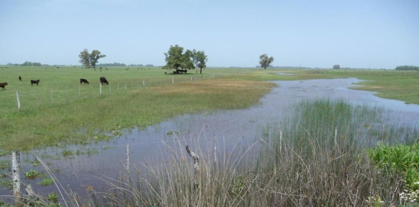 1626136396792.jpg?x=10&y=7&width=1480&height=740&rotate=0&scaleX=1&scaleY=1&ow=1500&oh=1125&&cw=1920&ch=950