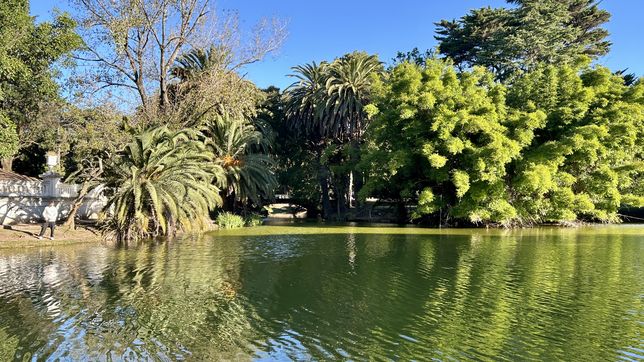 sigue el alerta naranja por cianobacterias en el lago del bosque