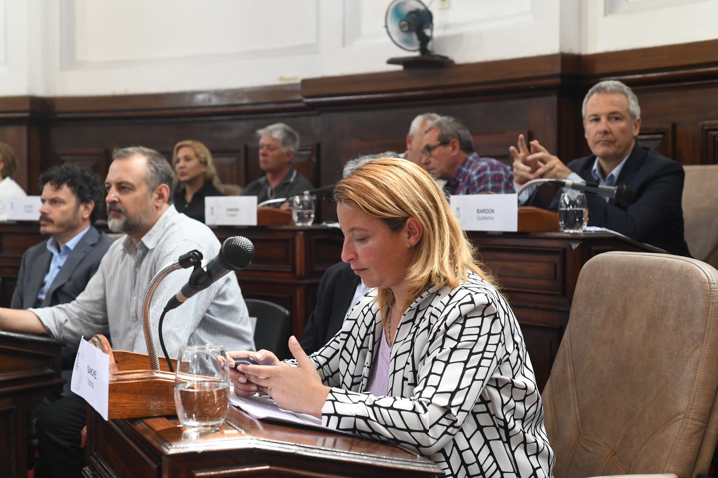 La concejala de UxP, Yanina Sánchez, es la autora del proyecto para delimitar la zona de alta circulación.