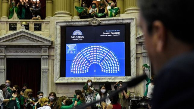 la camara de diputados le dio media sancion al proyecto de aborto legal