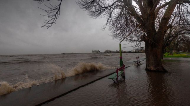 hay sudestada y la region esta en alerta porque se avecina una crecida del rio de la plata