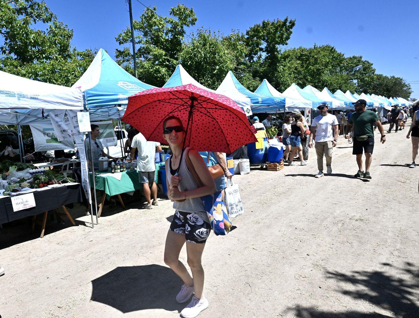 fiesta del tomate platense 2026 (7)