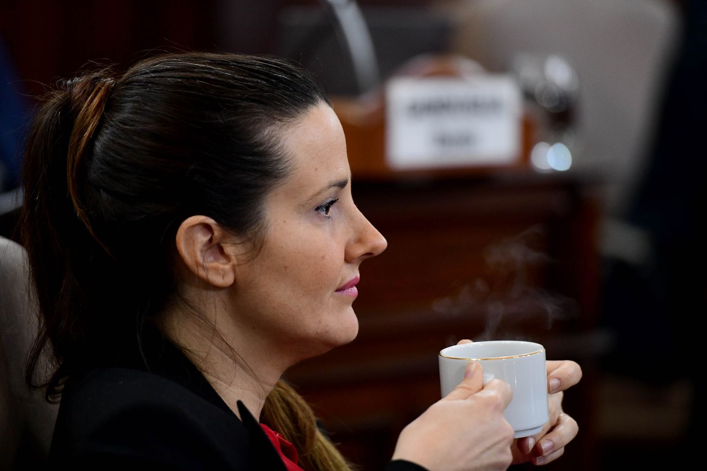 La concejala del PRO, Lucía Barbier, propuso transferir la República de los Niños a la órbita del EMATUR.