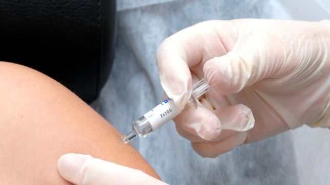 el ministerio de salud encontro 4 millones de vacunas vencidas en un frigorifico