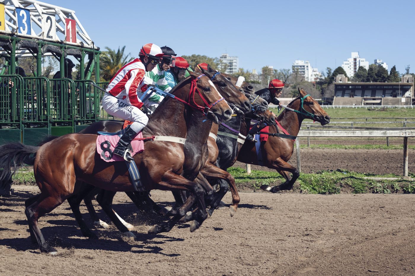 Libro del Hipódromo de La Plata (5).jpg