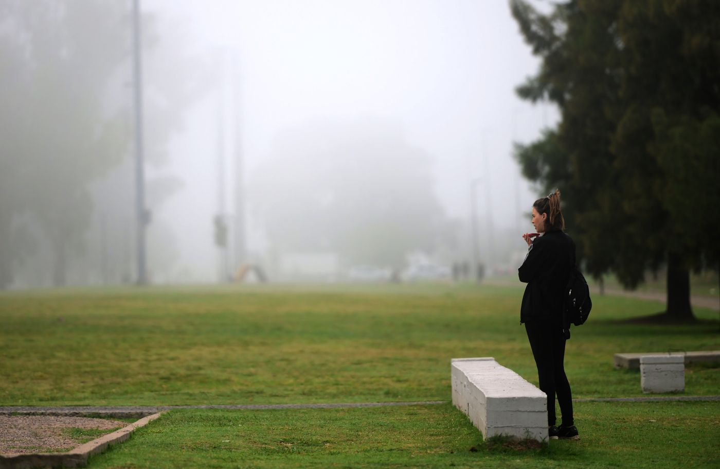 Clima niebla (1)