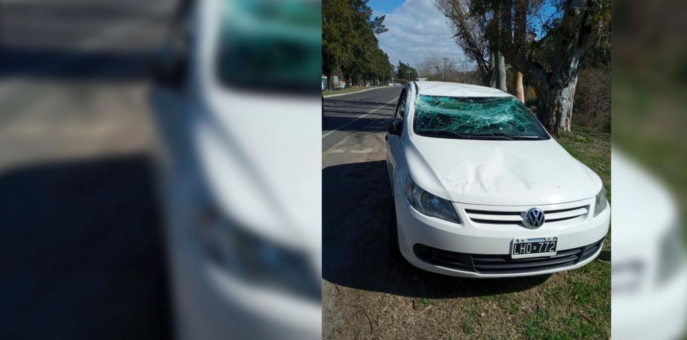 1636660185768.jpg?x=8&y=0&width=1484&height=742&rotate=0&scaleX=1&scaleY=1&ow=1500&oh=742&&cw=1920&ch=950