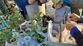 con talleres, charlas y hasta una feria agroecologica, llega un nuevo encuentro de intercambio de semillas en la plata