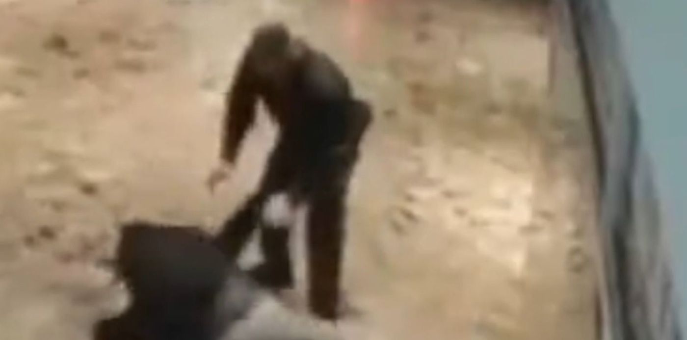 1683242516719.jpg?x=7&y=95&width=1484&height=742&rotate=0&scaleX=1&scaleY=1&ow=1500&oh=843&&cw=1920&ch=950