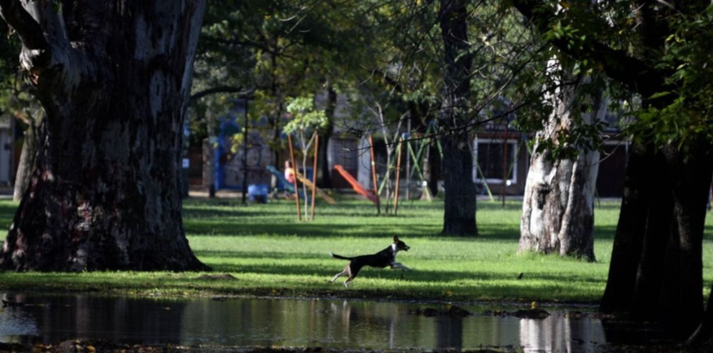 1527248400949.jpeg?&cw=1920&ch=950