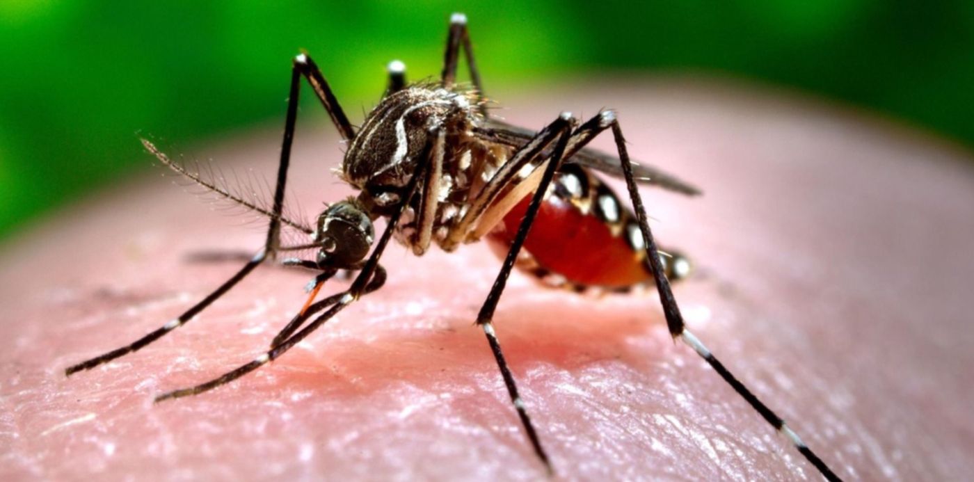 1585050128855.jpg?y=83&height=743&scaleY=1&ow=1500&oh=1035&x=9&width=1486&rotate=0&scaleX=1&&cw=1920&ch=950