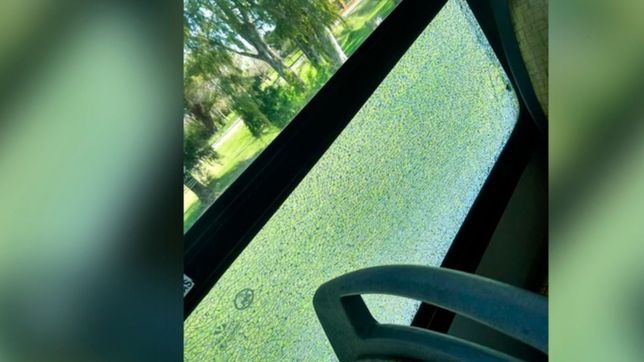 susto en pleno distribuidor: estallaron los vidrios de un micro que fue atacado a pedradas
