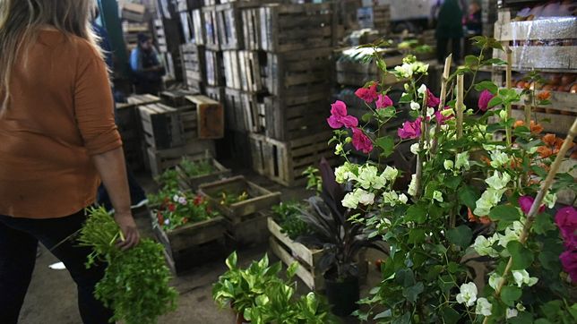 el mercado regional renovo sus ofertas en la plata con descuentos extendidos