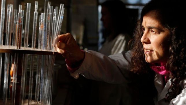 un estudio de la unlp revelo que una de cada tres personas sufre de hipertension