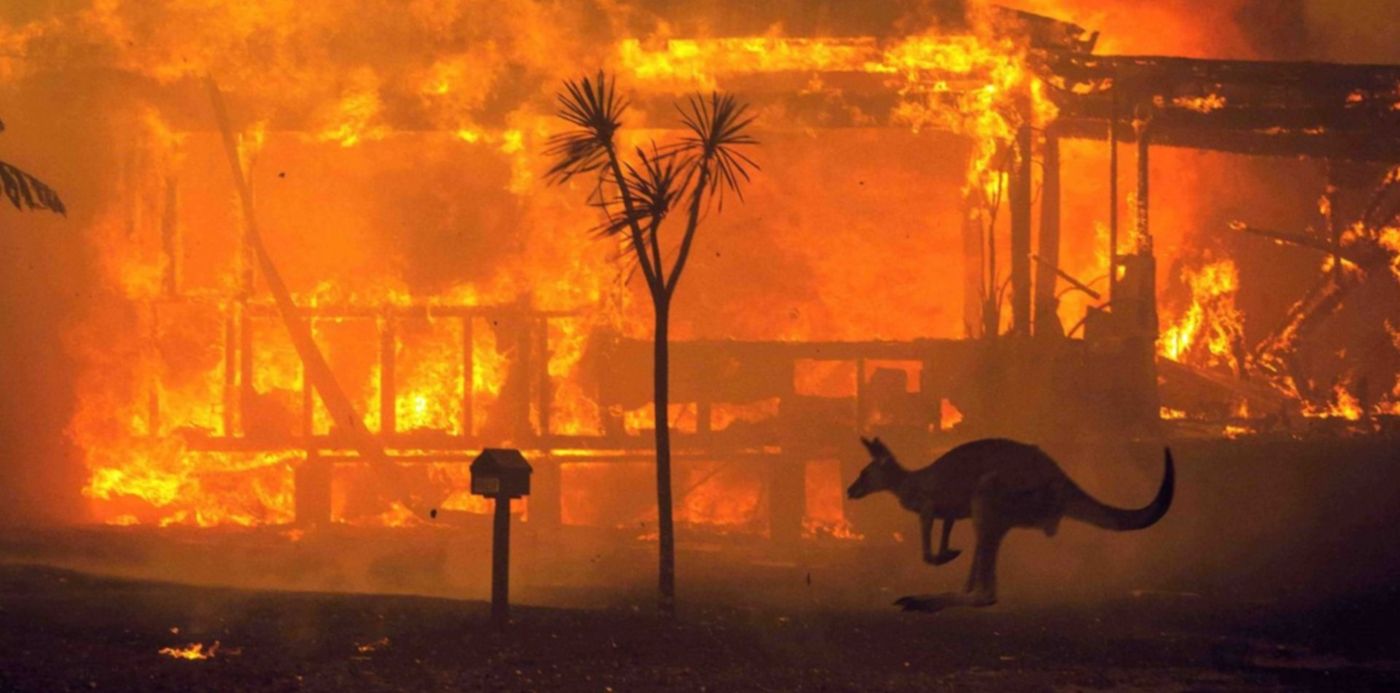 1578361071461.jpg?rotate=0&ow=1500&y=33&height=741&scaleX=1&scaleY=1&oh=844&x=9&width=1481&&cw=1920&ch=950