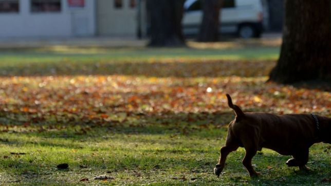 viernes santo con algunas nubes y un clima agradable en la plata