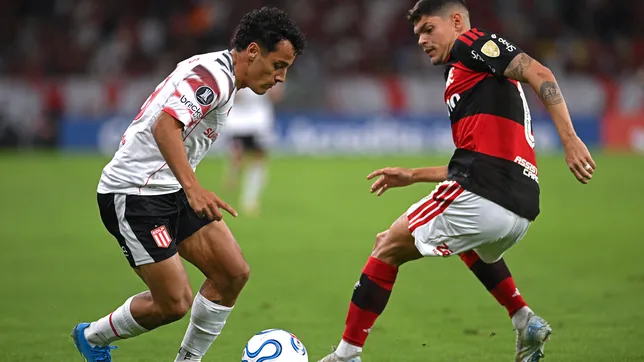 ¿como se reorganizo el grupo de estudiantes tras la sancion de conmebol al dim?