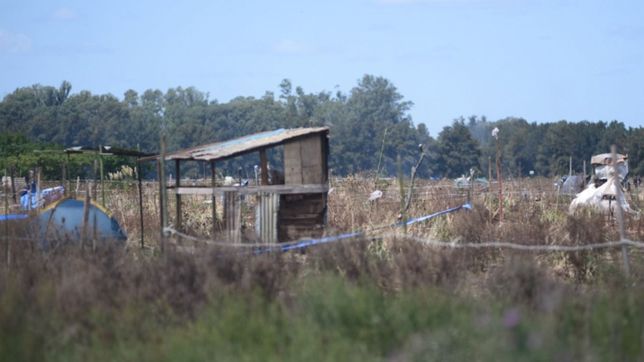 intentaron usurpar los campos de una jubilada de 84 anos en la plata