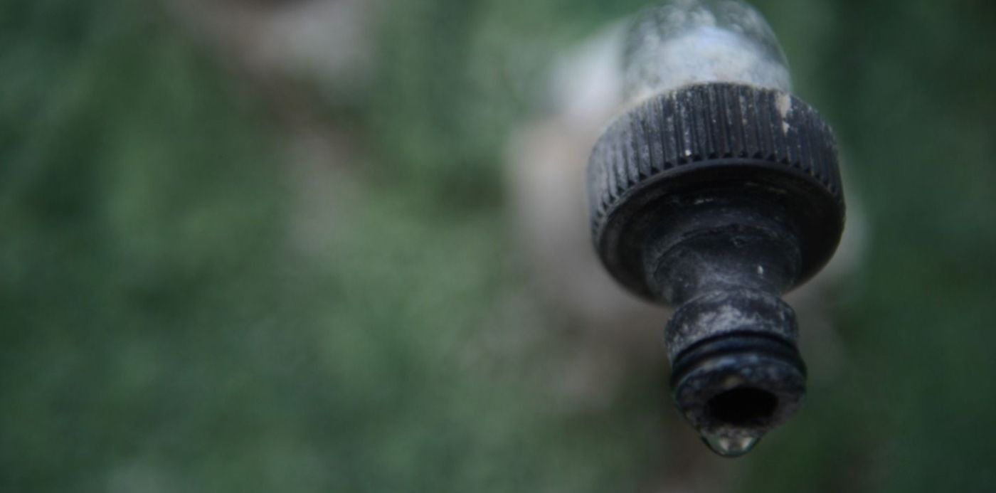 1580776083484.jpg?x=14&y=204&width=1469&height=734&rotate=0&scaleX=1&scaleY=1&ow=1500&oh=996&&cw=1920&ch=950