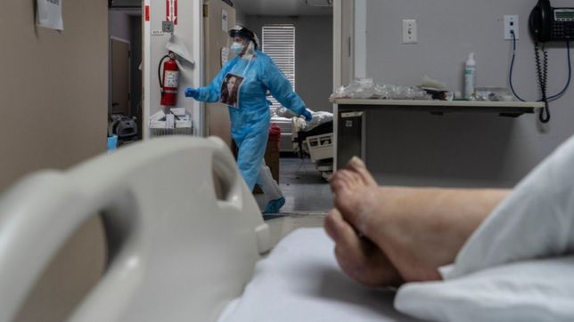 logran grabar como se propaga el covid-19 en el cuerpo y cuando mata