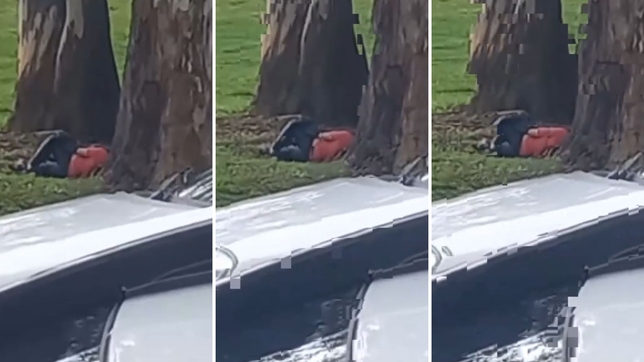 grabaron a una pareja teniendo relaciones en la calle y a la vista de todos