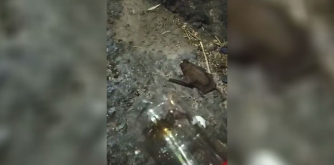 1605533402518.jpeg?x=12&y=15&width=1255&height=628&rotate=0&scaleX=1&scaleY=1&ow=1280&oh=720&&cw=1920&ch=950