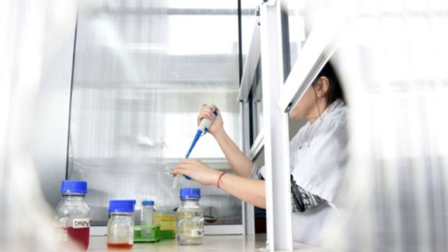 investigadores del conicet la plata desarrollaron un coctel nutritivo a muy bajo costo