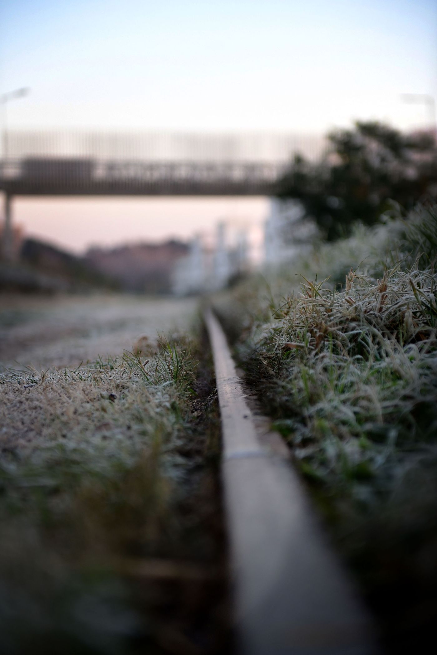 heladas frio en La Plata-0001 (12).JPG