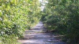 piden explicaciones por el deterioro del camino negro que une la plata y ensenada