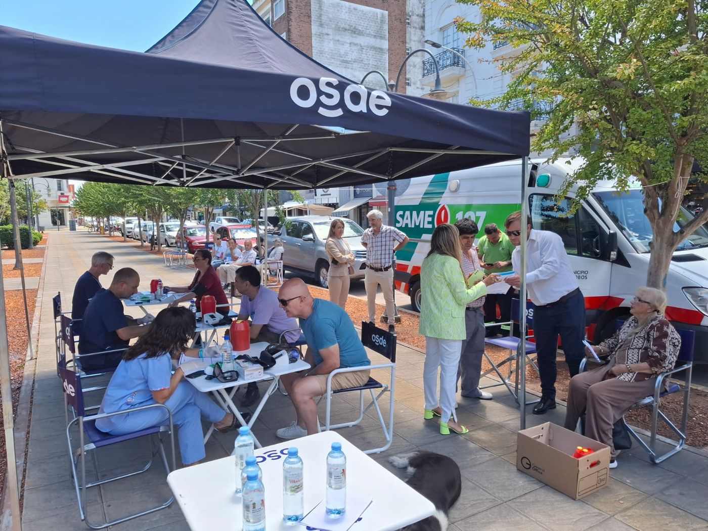 WhatsApp Image 2025-04-01 at 17.12.56.jpeg