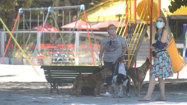 sol, calor y ¿lluvias de nuevo?: asi estara el clima durante los proximos dias en la plata