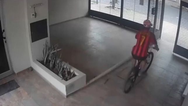 video: forzaron el porton y en segundos robaron una bicicleta de un edificio de la plata