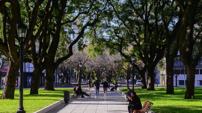 anticipan un jueves fresco y de sol en la plata, en la previa de un viernes de lluvias
