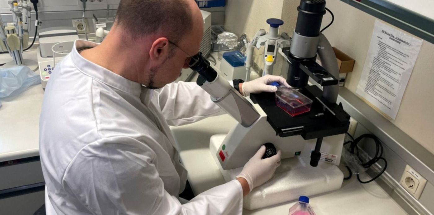 1653314245543.jpg?x=14&y=193&width=1480&height=740&rotate=0&scaleX=1&scaleY=1&ow=1500&oh=1202&&cw=1920&ch=950