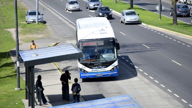 camaras, boleto gratis, rampas y mas: piden informes por el sistema de micros de la plata